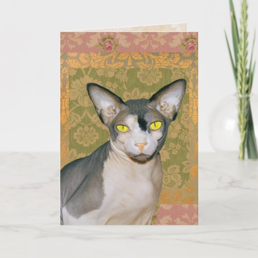 Vintage florale Damask Sphynx Cat Geburtstag Karte (Vorderseite)