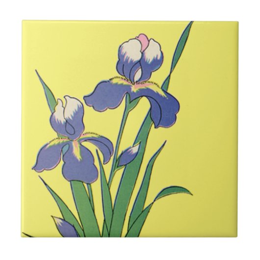 Vintage florale, Lila Frühjahrsgärten Iris-Blume Fliese (Vorderseite)