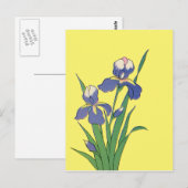 Vintage florale, Lila Frühjahrsgärten Iris-Blume Postkarte (Vorne/Hinten)