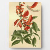 Vintage Florenz Kunst, Dichtung und Musik Fotoplatte (Vorderseite)