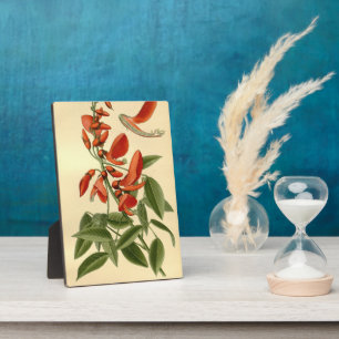 Vintage Florenz Kunst, Dichtung und Musik Fotoplatte