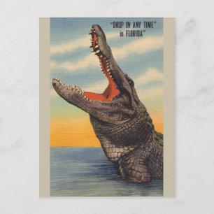 Vintage Florida-Alligatorpostkarte Postkarte
