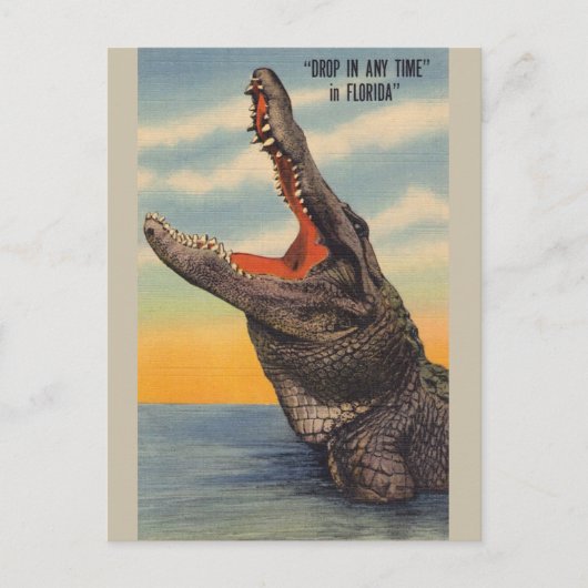 Vintage Florida-Alligatorpostkarte Postkarte (Vorderseite)
