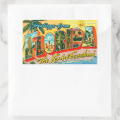 Vintage Florida Aufkleber (Tasche)