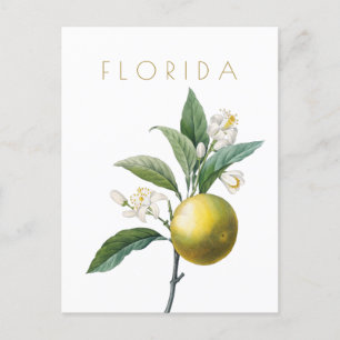 Vintage Florida-Blumen-Reiseobjekt aus der Mitte d Postkarte