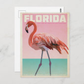 Vintage florida flamigo travel postcard postkarte (Vorne/Hinten)