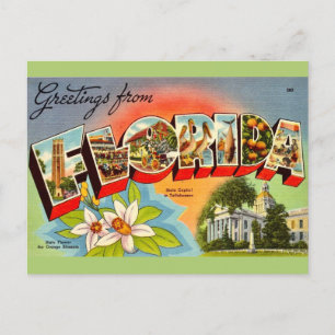 Vintage Florida-Gruß Postkarte