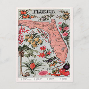 Vintage-Florida-Karte, der Everglade-Staat-Reise Postkarte