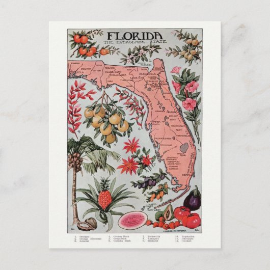 Vintage Florida-Karte Postkarte (Vorderseite)