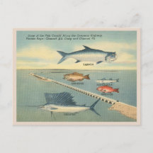 Vintage Florida Keys Fischen