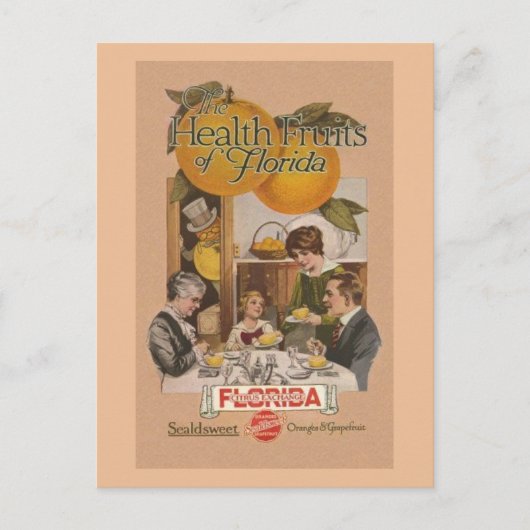 Vintage Florida Orange und Grapefruits Postkarte (Vorderseite)
