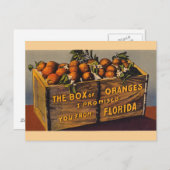 Vintage Florida-Orangen-Postkarte Postkarte (Vorne/Hinten)