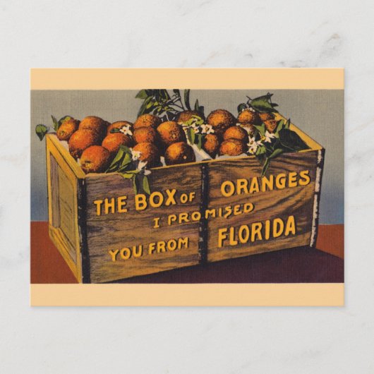Vintage Florida-Orangen-Postkarte Postkarte (Vorderseite)