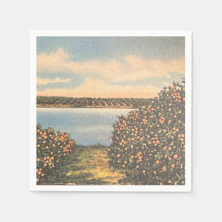 Vintage-Florida-Orangenhain-Serviette Serviette