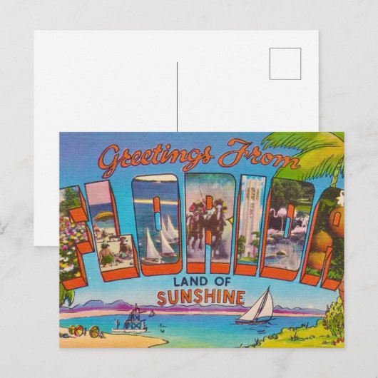 Vintage Florida Postkarte (Vorne/Hinten)
