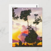Vintage Florida Silhouette Sunrise Postkarte (Vorne/Hinten)
