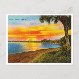 Vintage-Florida-Tropischer-Sonnenuntergang-Reisepo Postkarte