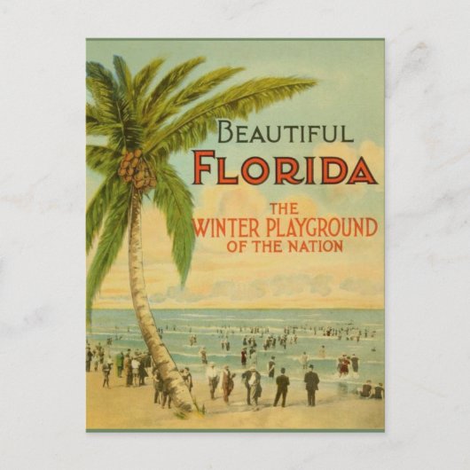 Vintage Florida Winter Playground Postkarte (Vorderseite)