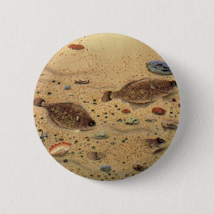 Vintage Floundern, Meeresfauna und -flatter Button