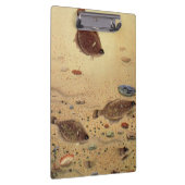 Vintage Floundern, Meeresfauna und -flatter Klemmbrett (Rechts)