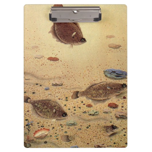 Vintage Floundern, Meeresfauna und -flatter Klemmbrett (Vorderseite)