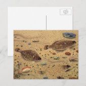 Vintage Floundern, Meeresfauna und -flatter Postkarte (Vorne/Hinten)