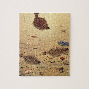 Vintage Floundern, Meeresfauna und -flatter Puzzle