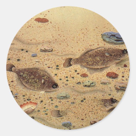 Vintage Floundern, Meeresfauna und -flatter Runder Aufkleber (Vorderseite)