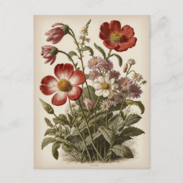 Vintage Flower Illustration  Postkarte