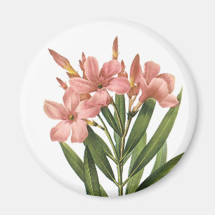 Vintage Flowers Magnet 3