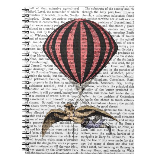 Vintage Flugmaschine Notizblock (Vorderseite)