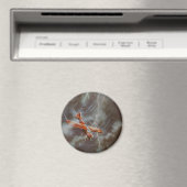 Vintage-Flugzeug-Button-Abzeichen Magnet (In Situ (Geschirrspüler))