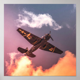 Vintage-Flugzeug Schöner Himmel Poster