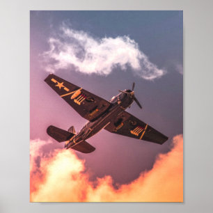 Vintage-Flugzeug Schöner Himmel Poster