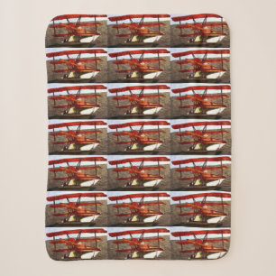 Vintage-Flugzeug von Shirley Taylor Sherpadecke