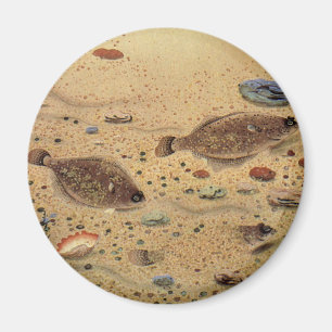 Vintage Flunder, Meeresleben Plattfisch Magnet