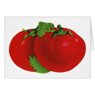 Vintage Foods, Bio-Rot reife alte Tomate