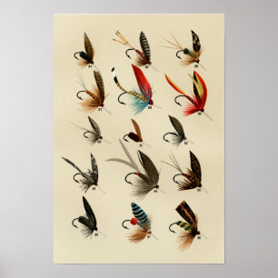 Vintage Forellenfliegen 84 bis 98 Poster