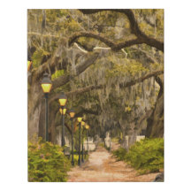 Vintage-Forsyth-Park-Reisefotografie - Savannah