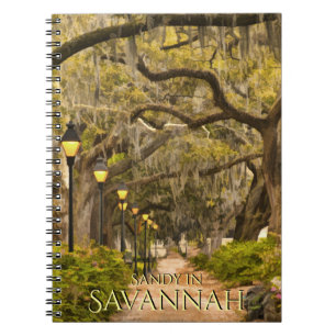 Vintage Forsyth Park - Savannah, GA, Fotografie Notizblock