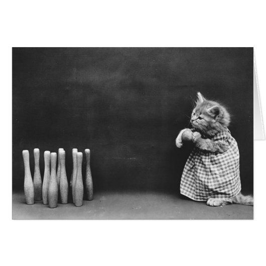 Vintage-Foto - Bowling-Kätzchen. (Vorderseite (Horizontal))
