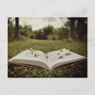 Vintage-Foto Buch und Wildblumen Naturszene Postkarte