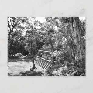 Vintage-Foto der Copan-Maya-Ruinen in Honduras Postkarte