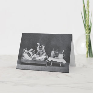 Vintage-Foto - Gute Besserung Katzen, Karte