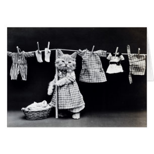 Vintage-Foto - Kätzchen beim Aufhängen der Wäsche,