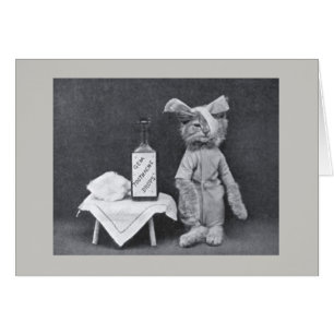 Vintage-Foto - Kätzchen mit Zahnschmerzen,