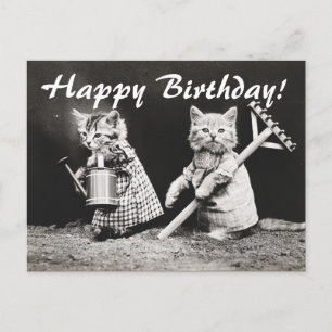 Vintage-Foto Zwei Katzen beim Gärtnern Postkarte