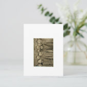 Vintage Fotografen Postkarte (Stehend Vorderseite)