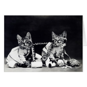 Vintage Fotografie - Kätzchen und Nähzubehör,