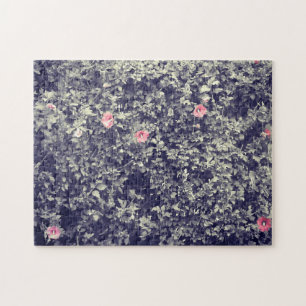 Vintage Fotografie Rosa Hibiskus Blume Blauer Puzzle